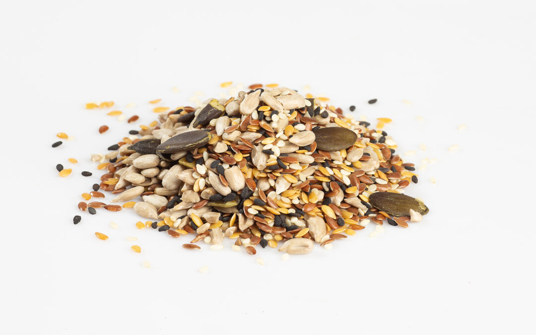 Why Seed Oils Are Ruining Our Health