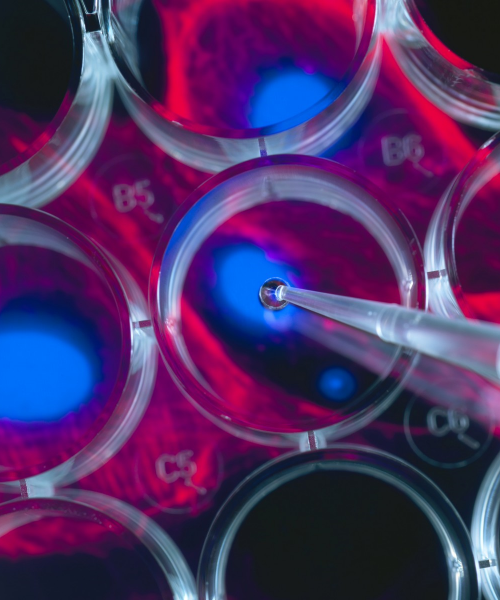 Regenerative Medical Services