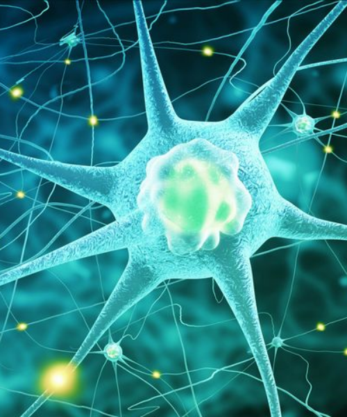 Stem Cell Therapy For Knees